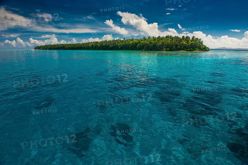Islet in the Ant Atoll
