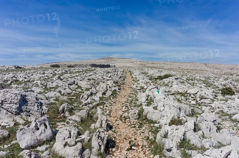 Plateau of the Moon