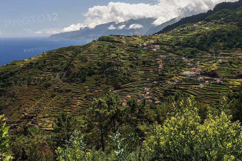 Terraced fields and houses