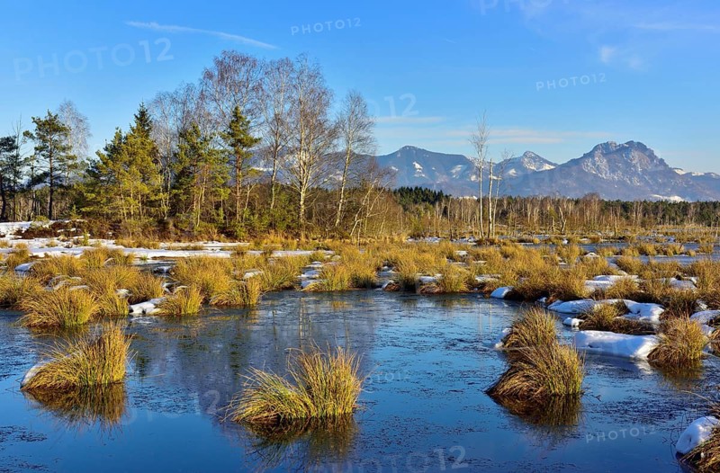 Moorlands in winter