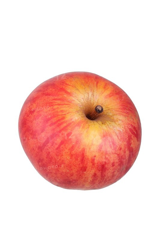 Apple variety Malvasia