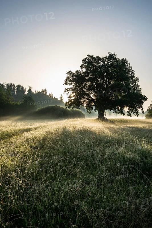 Morning atmosphere