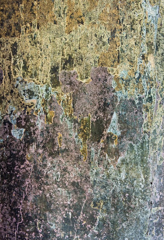 Wall with remnants of plaster and paint