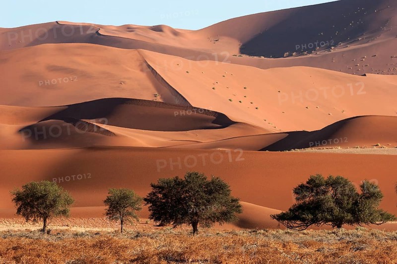 Sand dunes