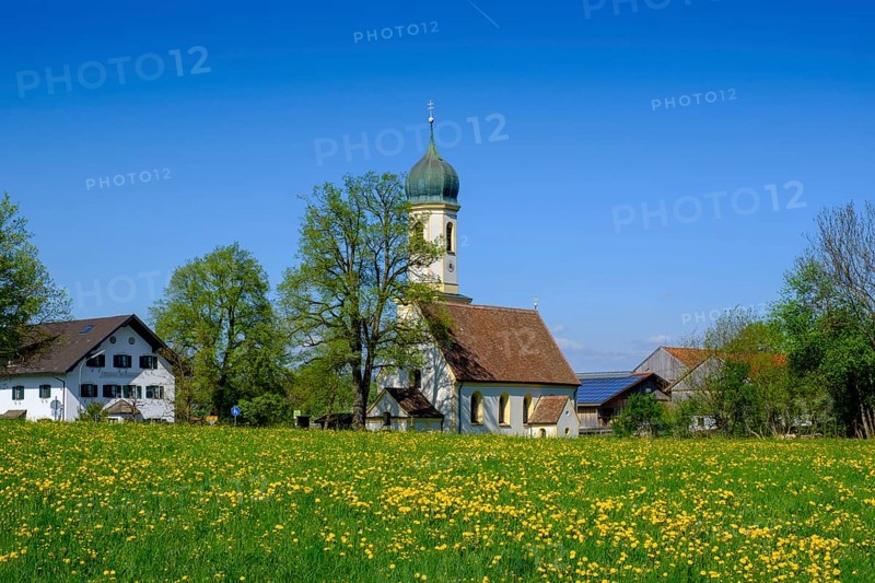 Church and dandelion meadow in spring