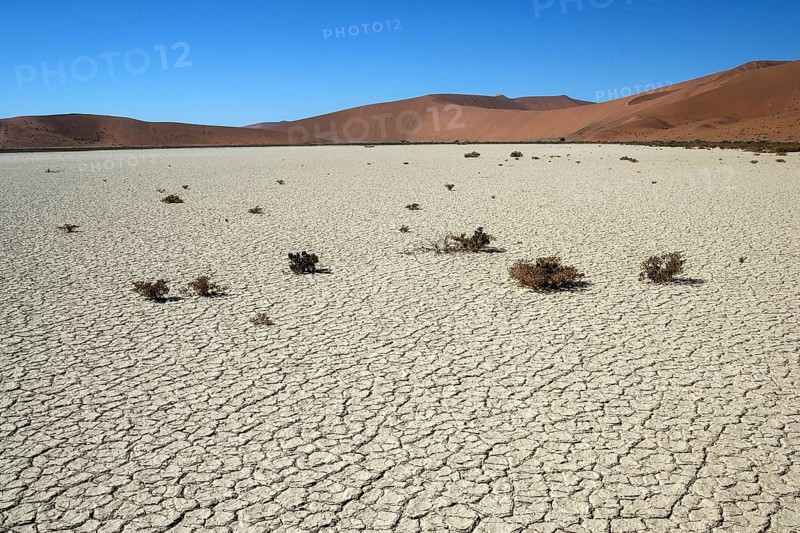 Hidden Vlei