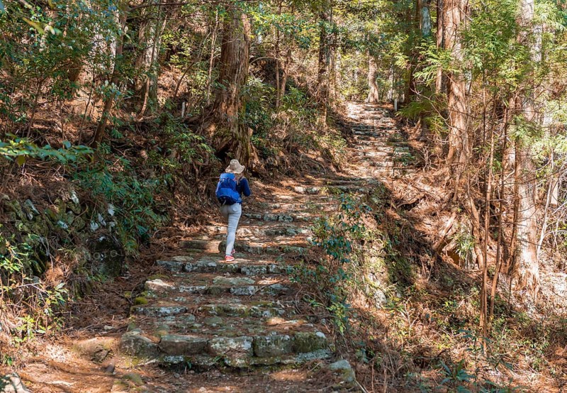Hiker on a stony path through forest
