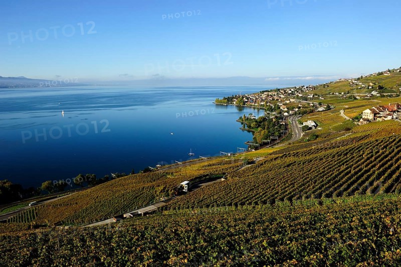 The vineyards of Lavaux on Lake Geneva
