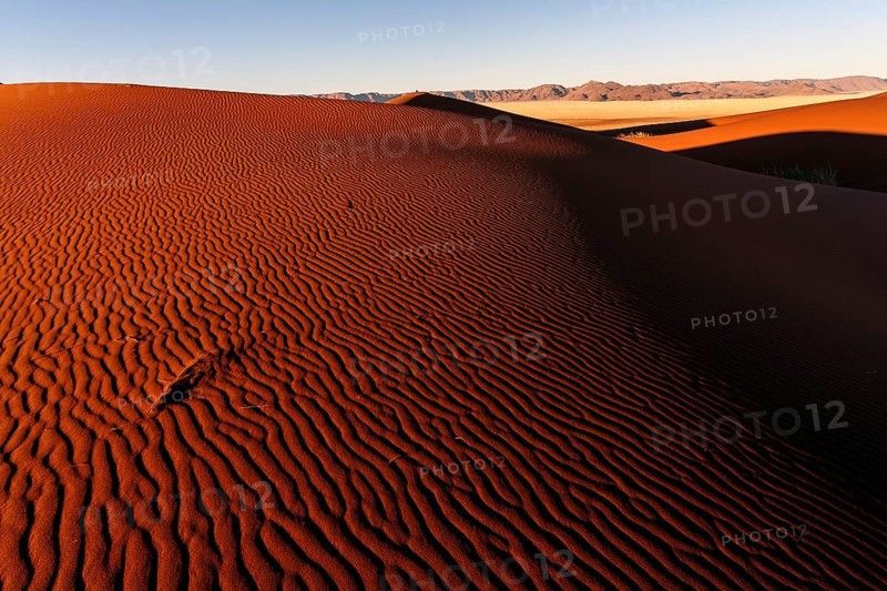 Sand dunes in the evening light