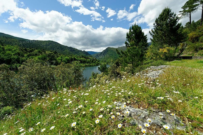 Reservoir