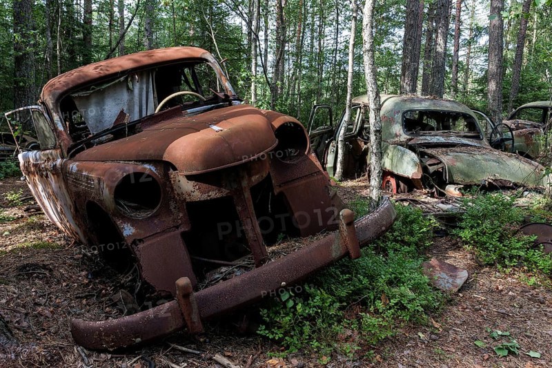 Junkyard in the forest
