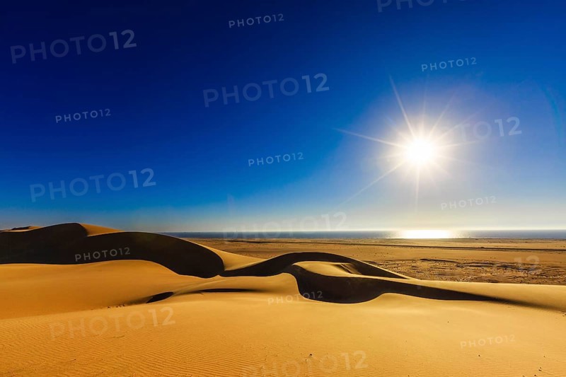 Dunes of the Namib Desert
