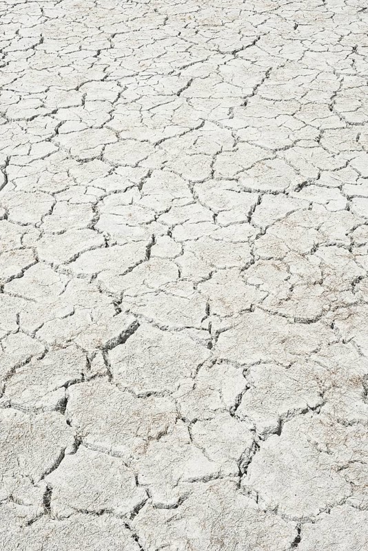 Desiccation cracks