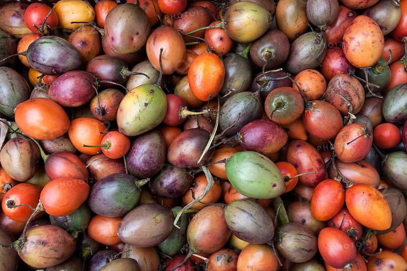 Tamarillo (Solanum betaceum)