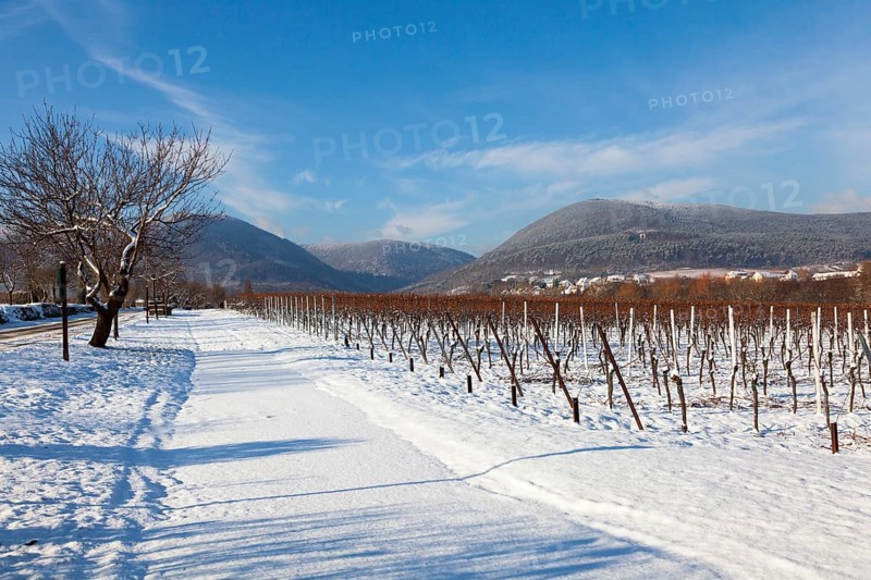Wintry landscape