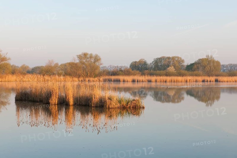 Ponds