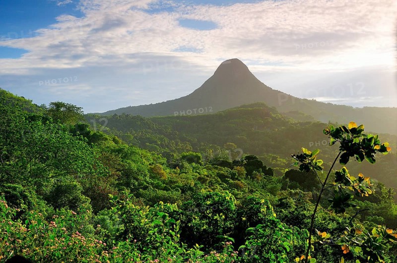 Volcano Mont Choungui