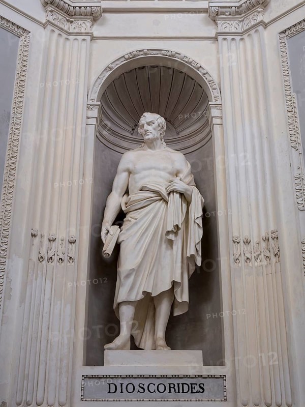 Statue of Dioscorides at Villa Giulia