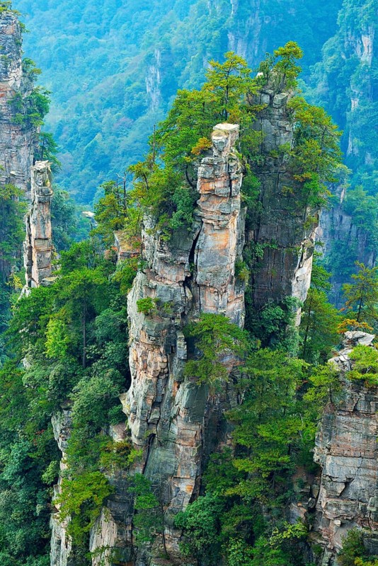 Tianzishan mountain with vertical rock columns of quartz sandstone