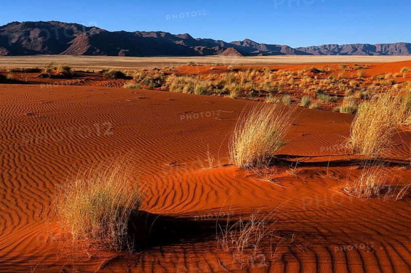 Southern foothills of the Namib desert