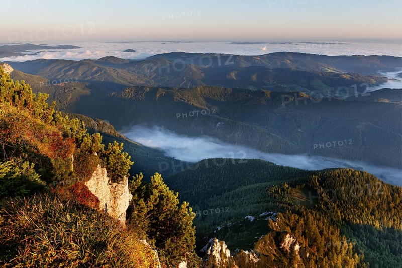 View from Alberfeldkogel mountain across lake Langbathsee in the fog