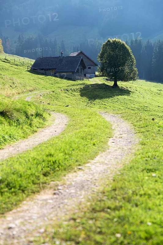 Gross Euchst Alm