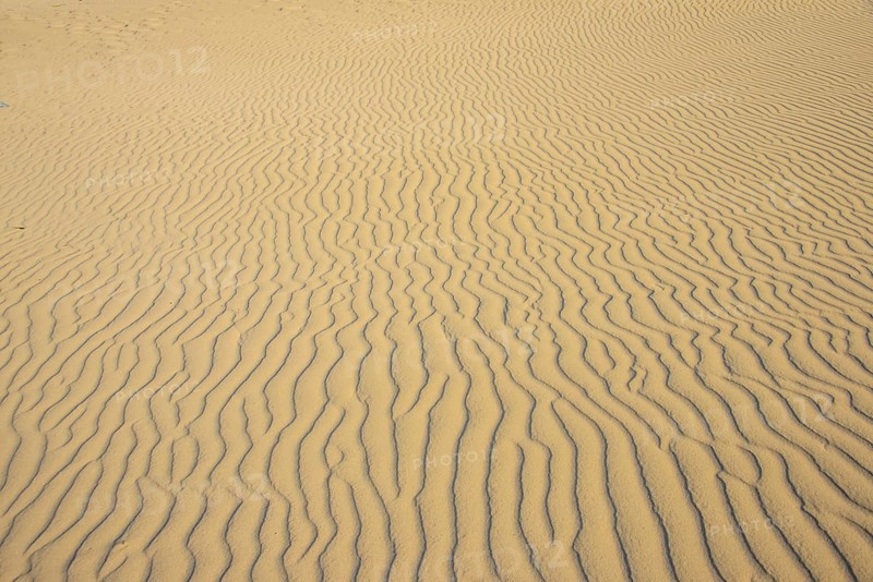 Sand ripples