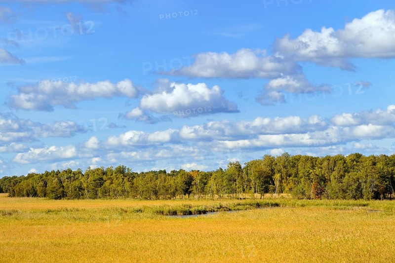 Wetlands of the Binnenmuritz inland lake