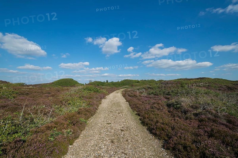 Path through heathland with typical sea clouds