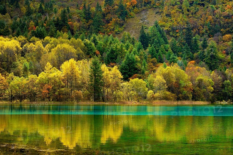 Five Flower Lake in autumnal environment