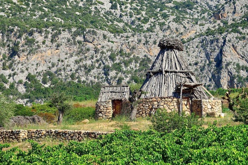 Shepherd's cottage in a vineyard