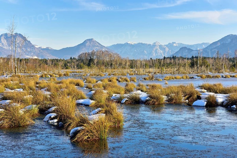 Moorlands in winter