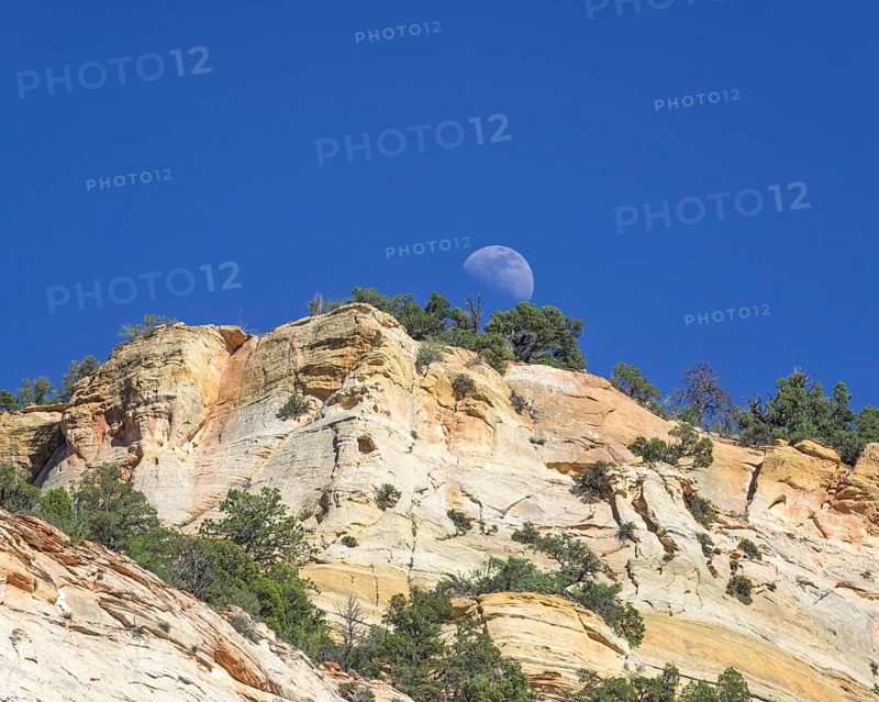 Moon rising at Checkerboard Mesa