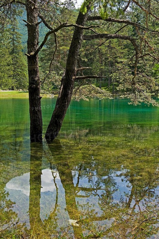 Gruner See or Green Lake
