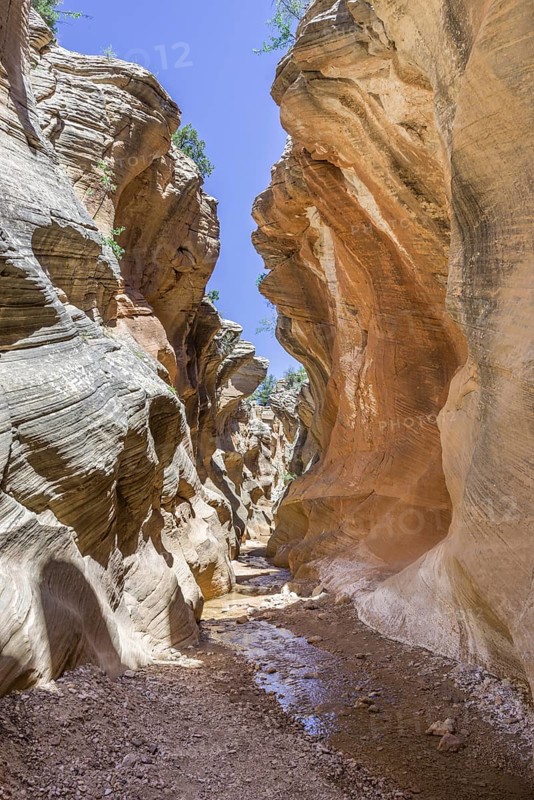 Hiking trail through Willis Creek Canyon