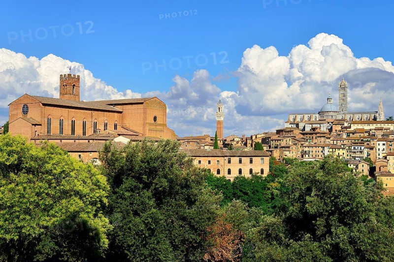 Historic centre with the Basilica of San Domenico and the Duomo of Siena