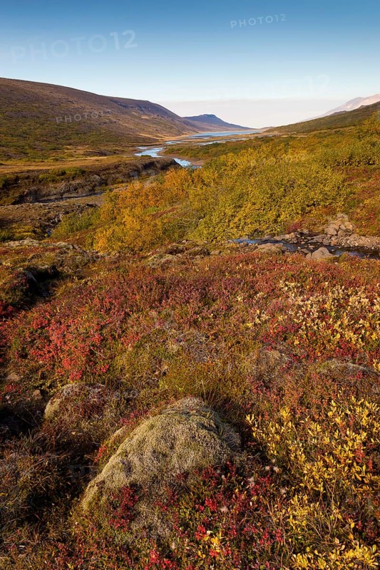 Autumnal foliage