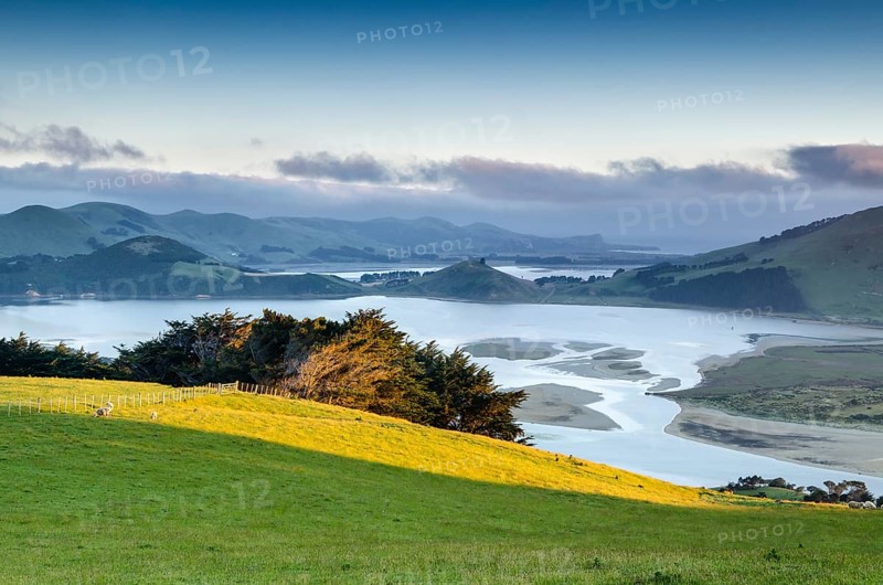 Saturated green pasture in front of tidal inlet