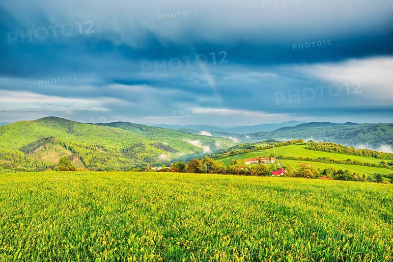Landscape