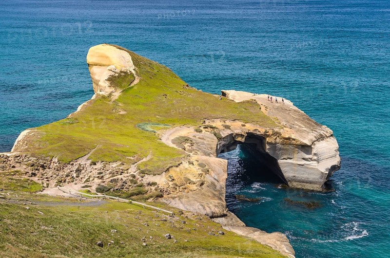 Rocky cliffs on the Pacific coast at Tunnel Beach