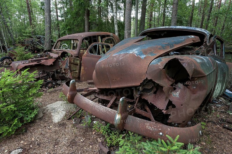 Junkyard in the forest