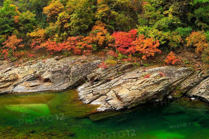 Black River in autumn landscape