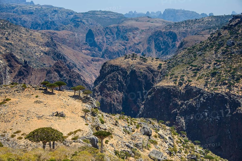 Huge canyon at the Dixsam plateau