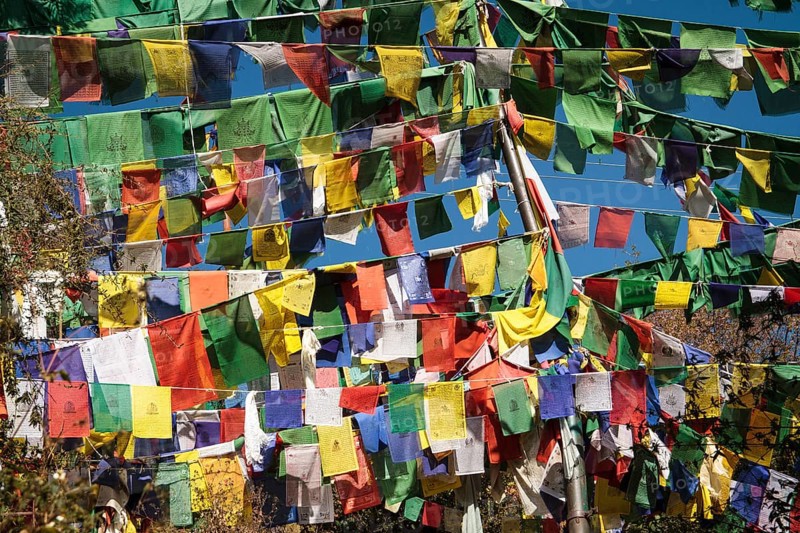 Tibetan prayer flags at the domicile of the Tibetan exile government