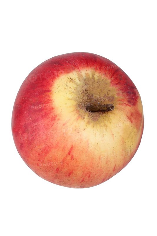 Apple variety Carola