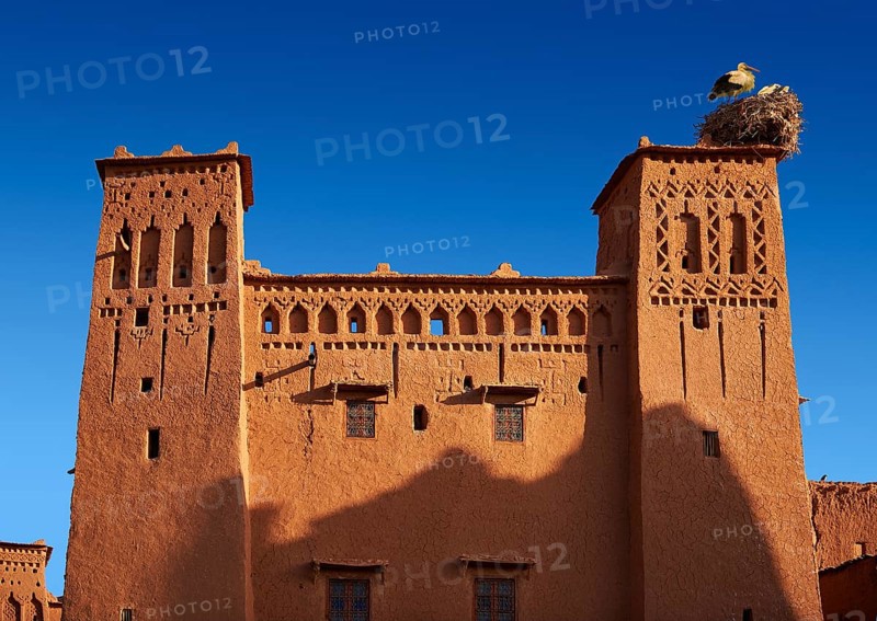 Stork's nest on the mud buildings of the fortified Berber Ksar of Ait Benhaddou