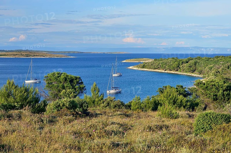 Yachts anchored in a bay
