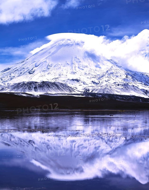 Parinacota volcano with reflections in the lake Lago Chungara