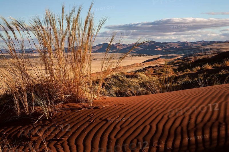 Elim Dune