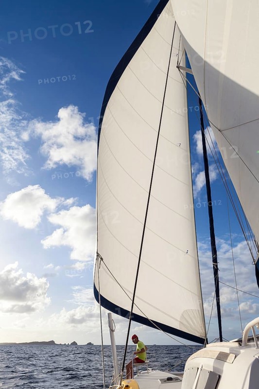 Catamaran sailing